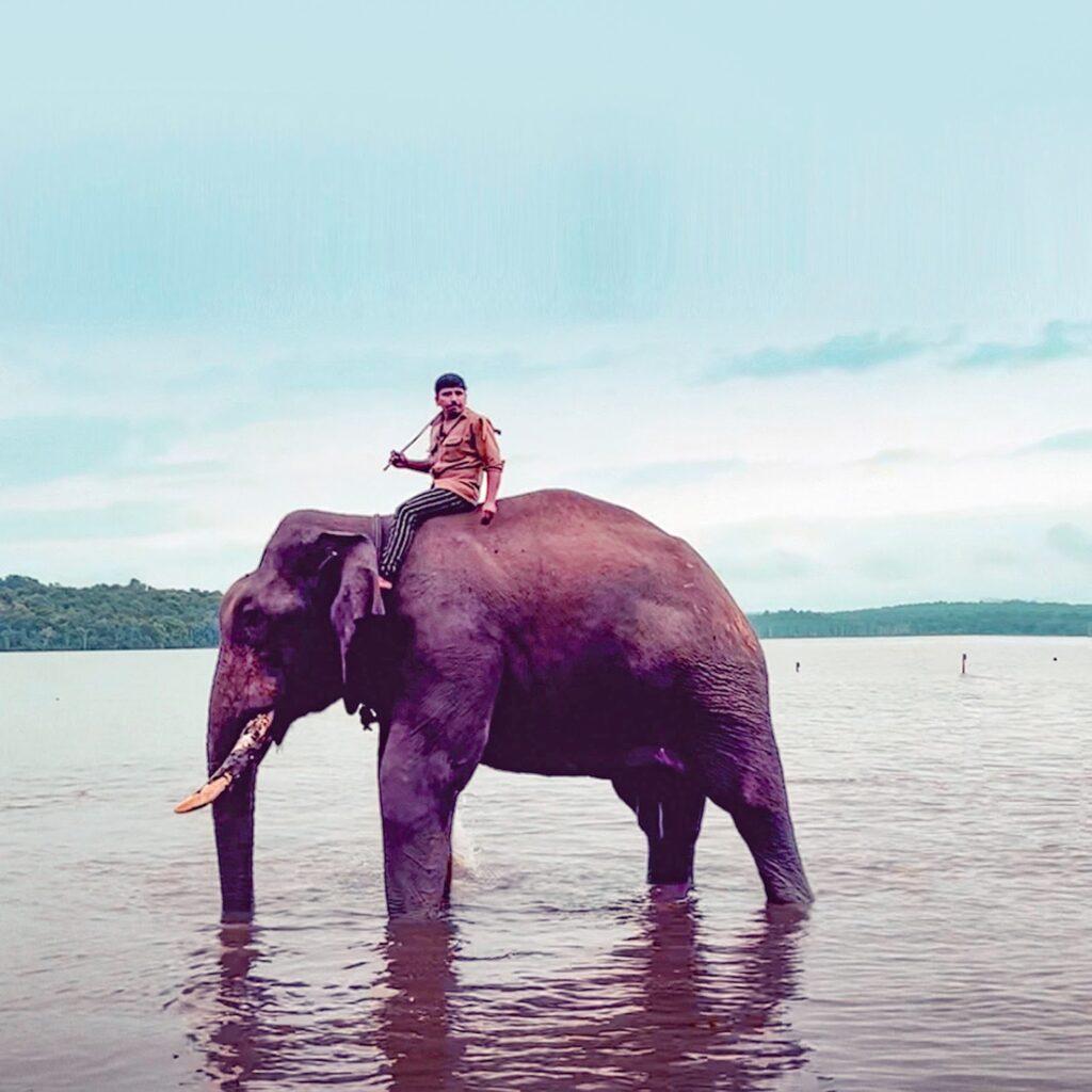 Sakrebailu Elephant Camp