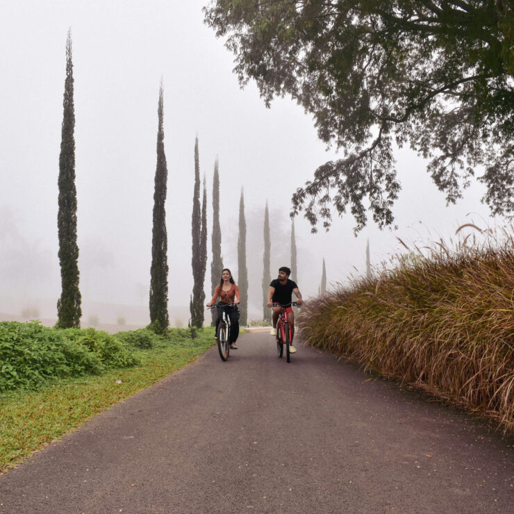 10 Best Things to Do in Shivamogga During Your Stay at Kimmane